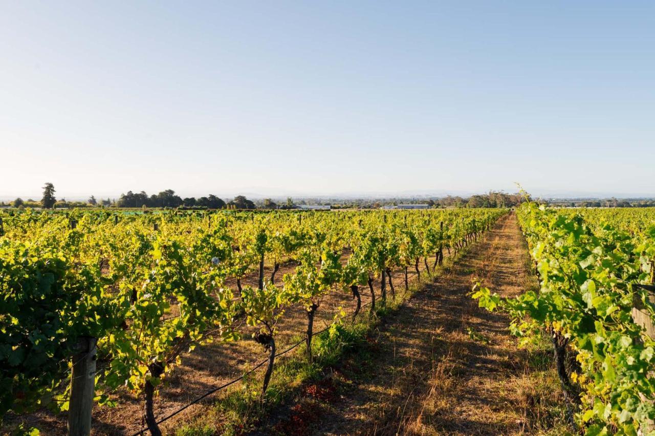 Villa 305 In The Vines Havelock North Exterior foto
