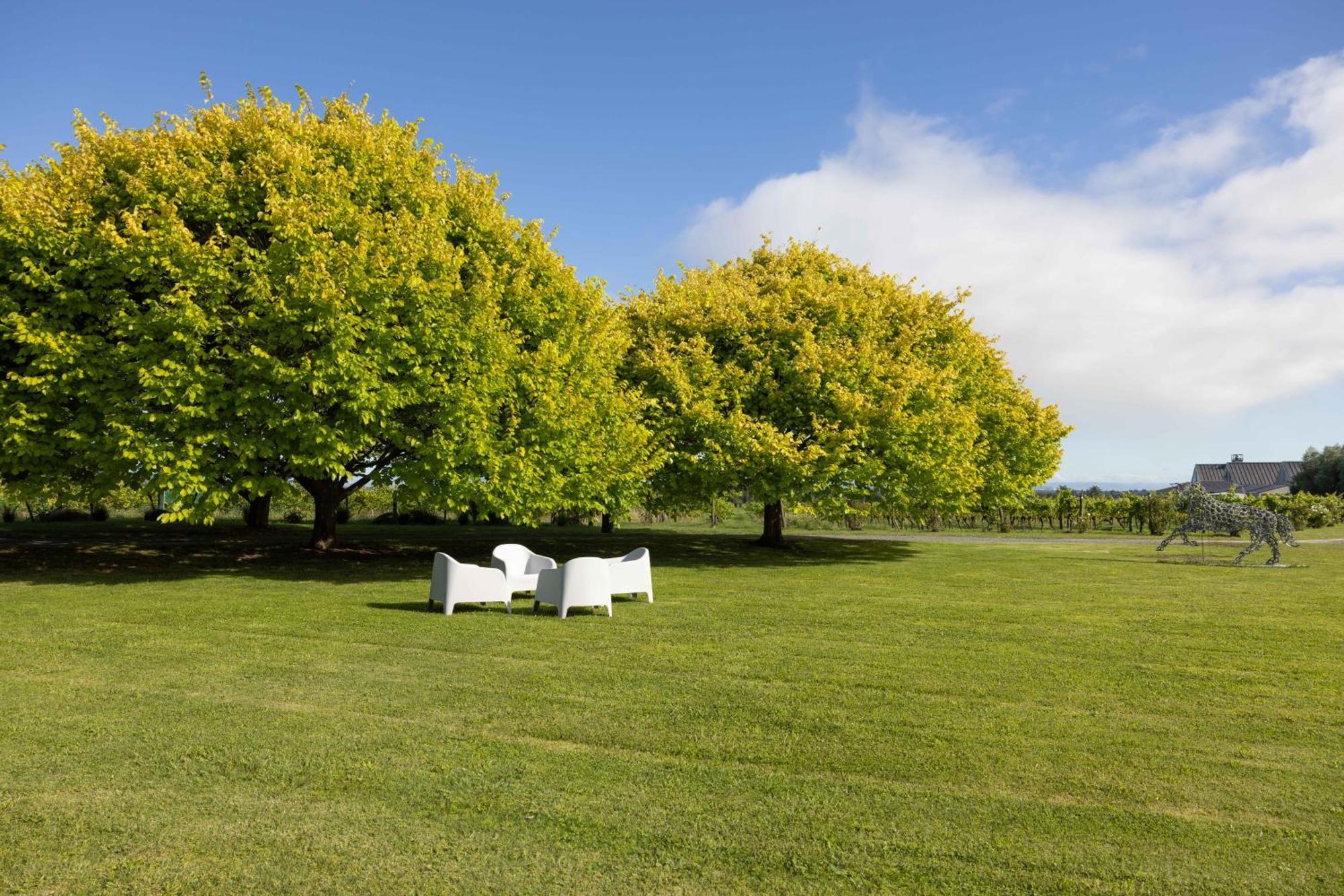 Villa 305 In The Vines Havelock North Exterior foto
