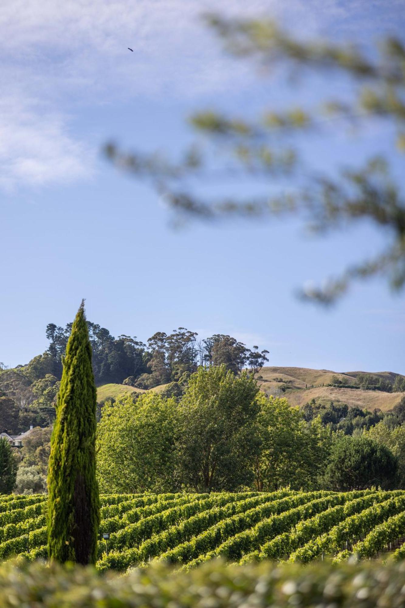 Villa 305 In The Vines Havelock North Exterior foto